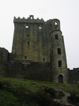 24808 Round lookout tower and Blarney Castle.jpg